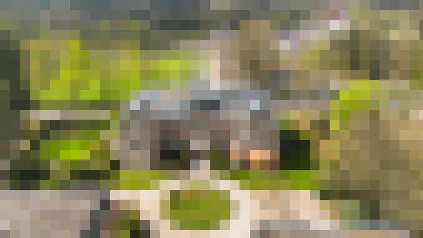Loseweg 242 Apeldoorn thumbnail 62
