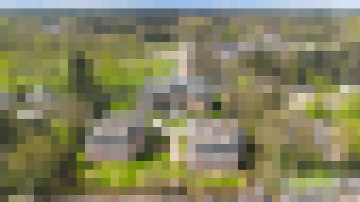 Loseweg 242 Apeldoorn thumbnail 63