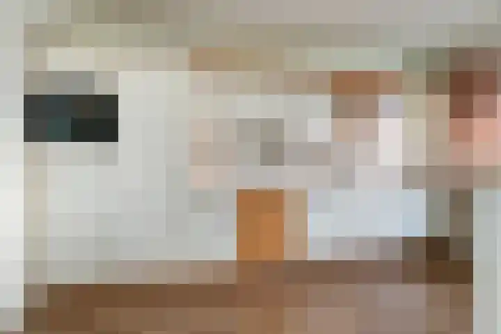 Loseweg 251 Apeldoorn thumbnail 13