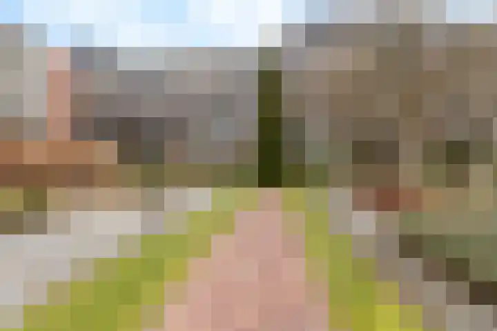 Loseweg 251 Apeldoorn thumbnail 22