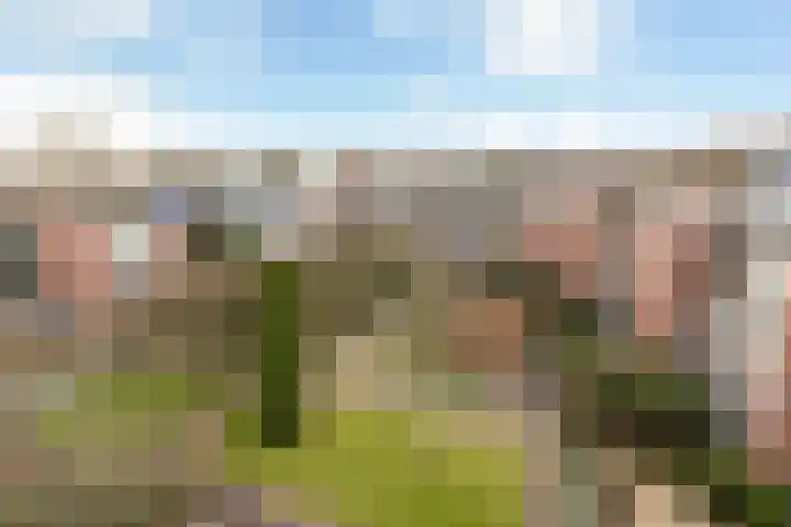 Loseweg 251 Apeldoorn thumbnail 24