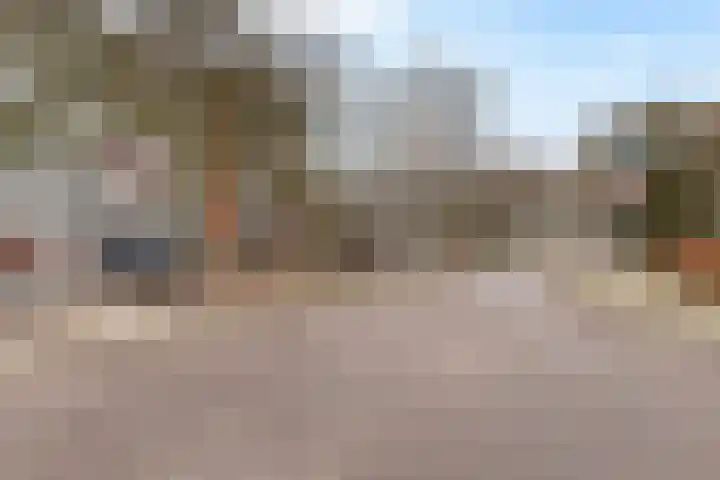 Loseweg 251 Apeldoorn thumbnail 28