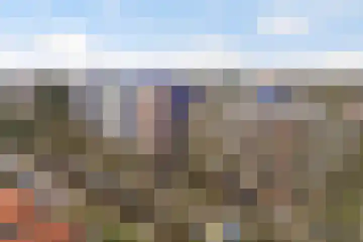Loseweg 251 Apeldoorn thumbnail 29