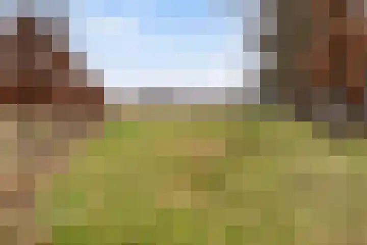 Loseweg 251 Apeldoorn thumbnail 31