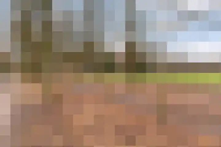 Loseweg 251 Apeldoorn thumbnail 32