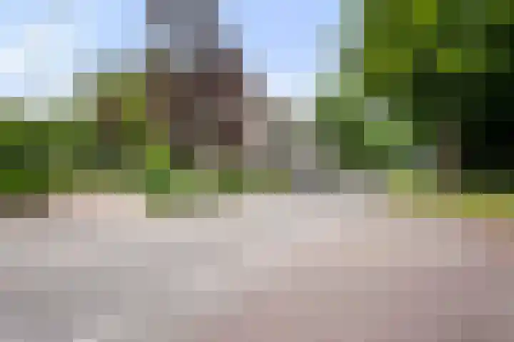 Loseweg 263 Apeldoorn thumbnail 29