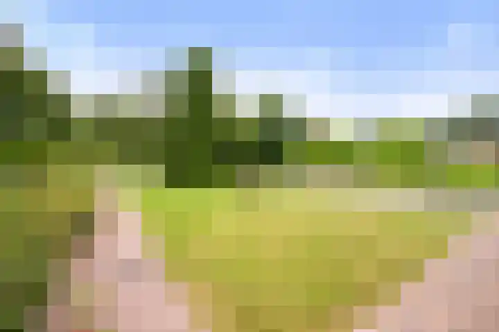 Loseweg 263 Apeldoorn thumbnail 4