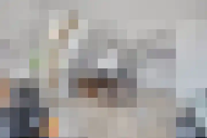 Loseweg 268 Apeldoorn foto 3