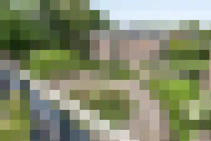 Loseweg 268 Apeldoorn thumbnail 31
