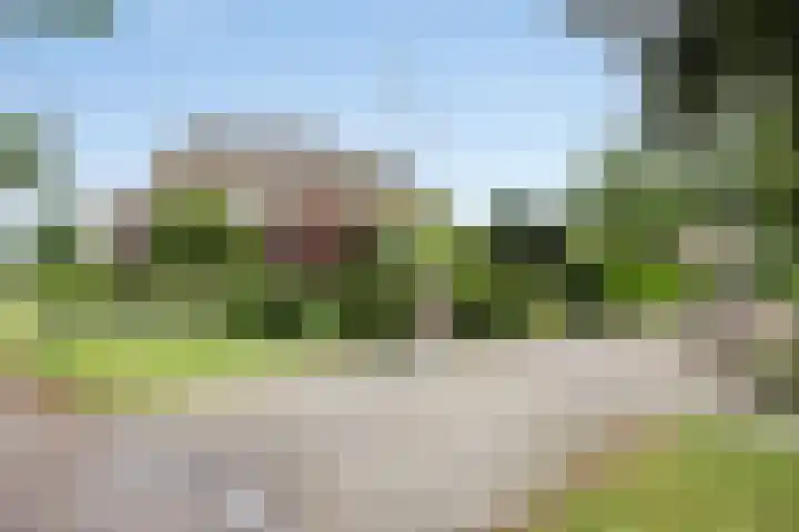 Loseweg 268 Apeldoorn thumbnail 35