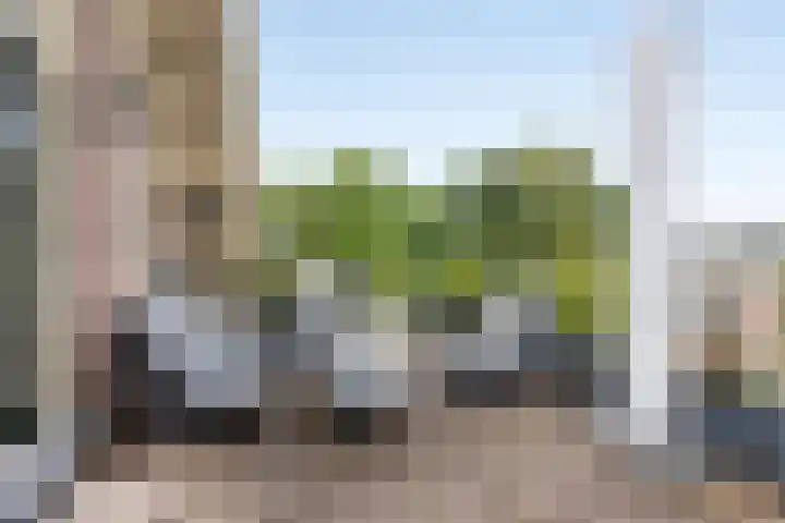 Loseweg 268 Apeldoorn thumbnail 4