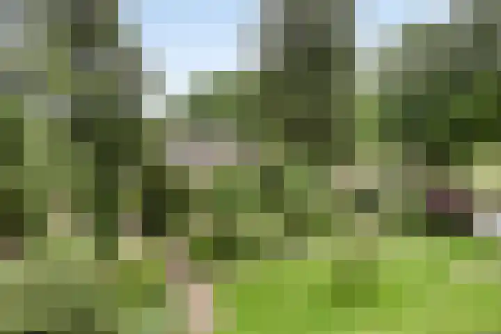 Loseweg 268 Apeldoorn thumbnail 5