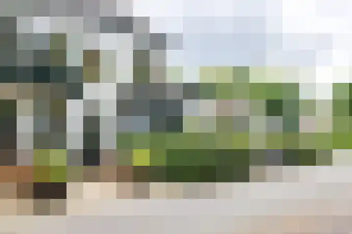 Loseweg 274 Apeldoorn thumbnail 23