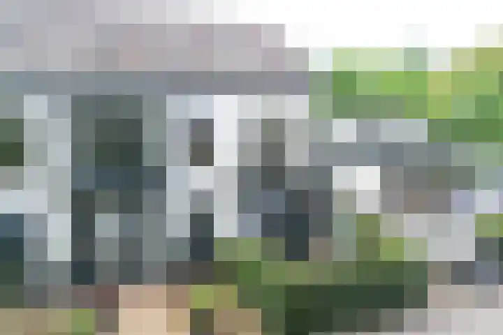 Loseweg 274 Apeldoorn thumbnail 25