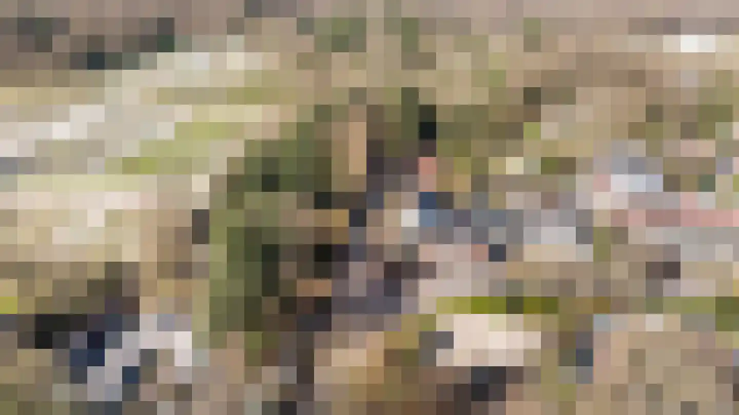 Loseweg 278 Apeldoorn thumbnail 37