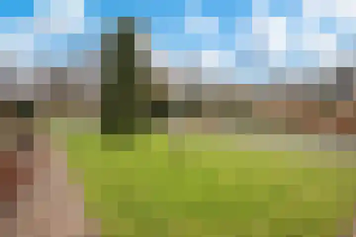 Loseweg 285 Apeldoorn thumbnail 22