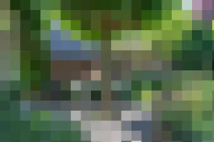 Loseweg 29 Apeldoorn thumbnail 31
