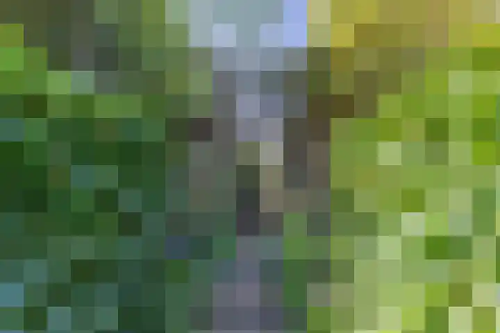 Loseweg 29 Apeldoorn thumbnail 33