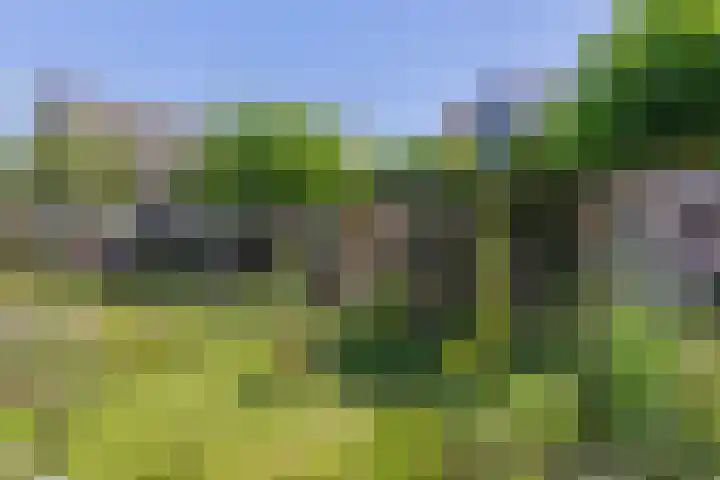 Loseweg 29 Apeldoorn thumbnail 35