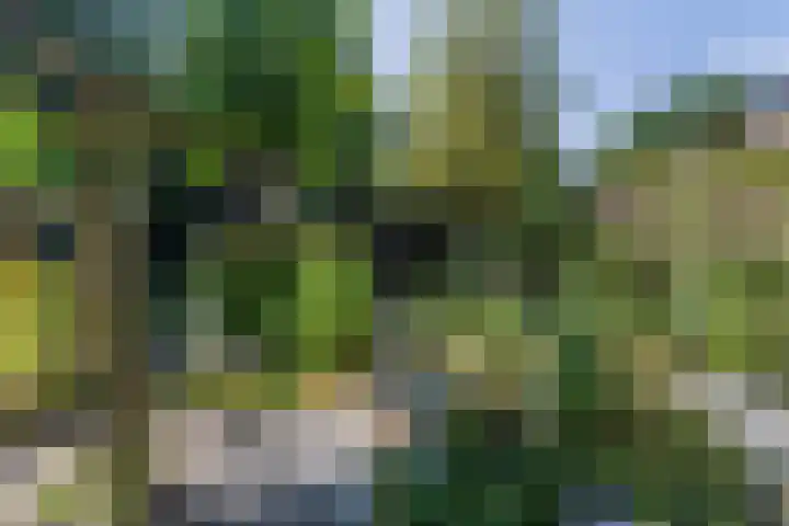 Loseweg 29 Apeldoorn thumbnail 36