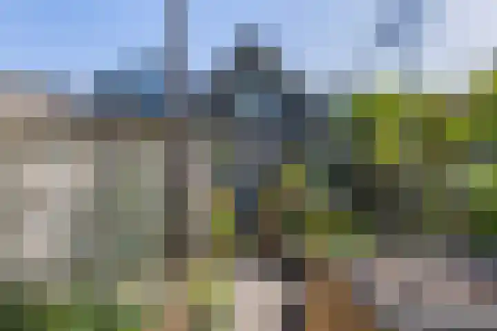 Loseweg 29 Apeldoorn thumbnail 38