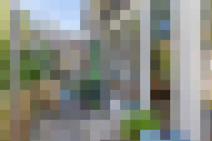 Loseweg 29 Apeldoorn thumbnail 39
