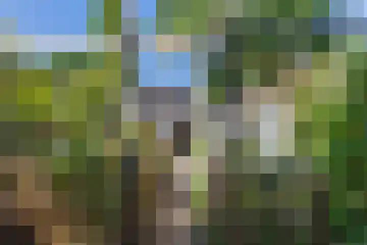 Loseweg 29 Apeldoorn thumbnail 48