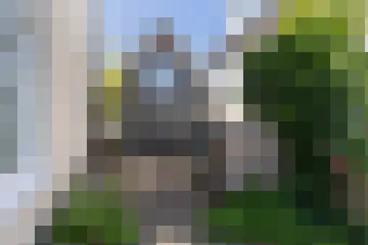 Loseweg 29 Apeldoorn thumbnail 49
