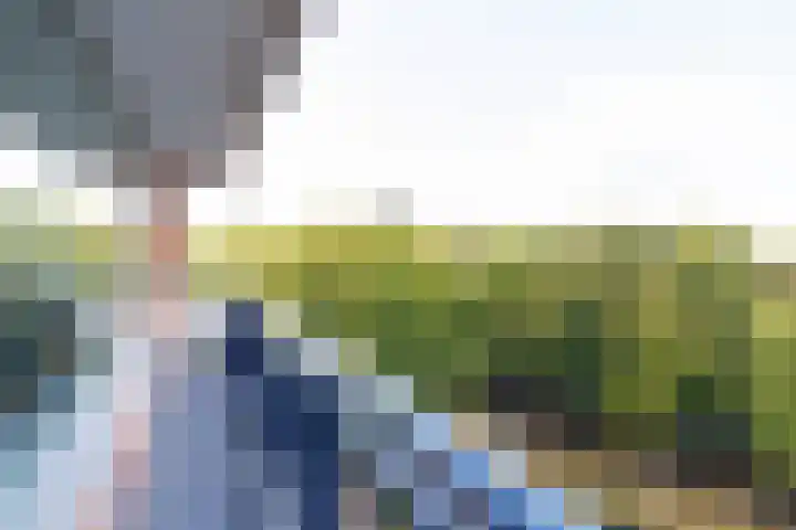 Loseweg 299 Apeldoorn thumbnail 20