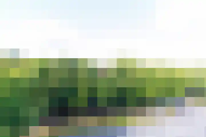 Loseweg 299 Apeldoorn thumbnail 22