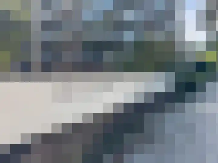 Loseweg 299 Apeldoorn thumbnail 26