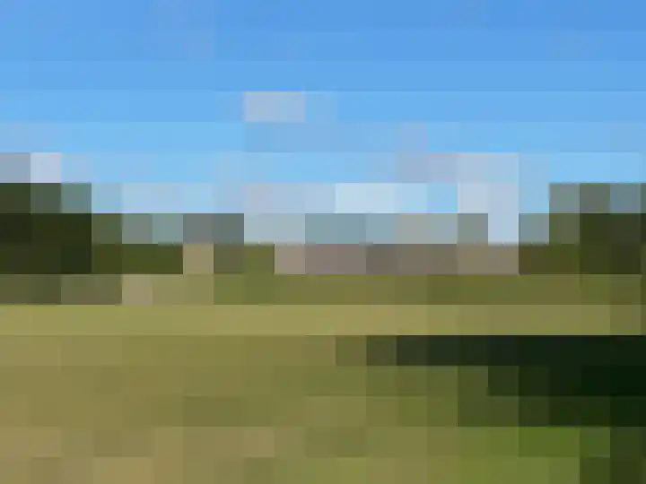Loseweg 299 Apeldoorn thumbnail 29