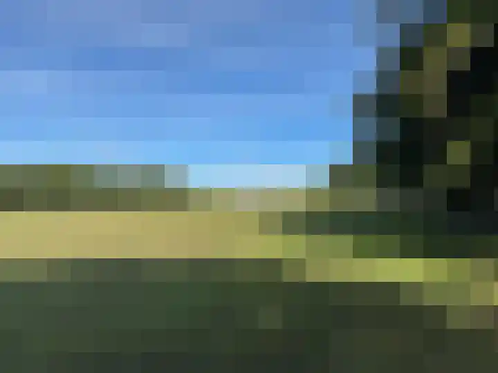Loseweg 299 Apeldoorn thumbnail 30