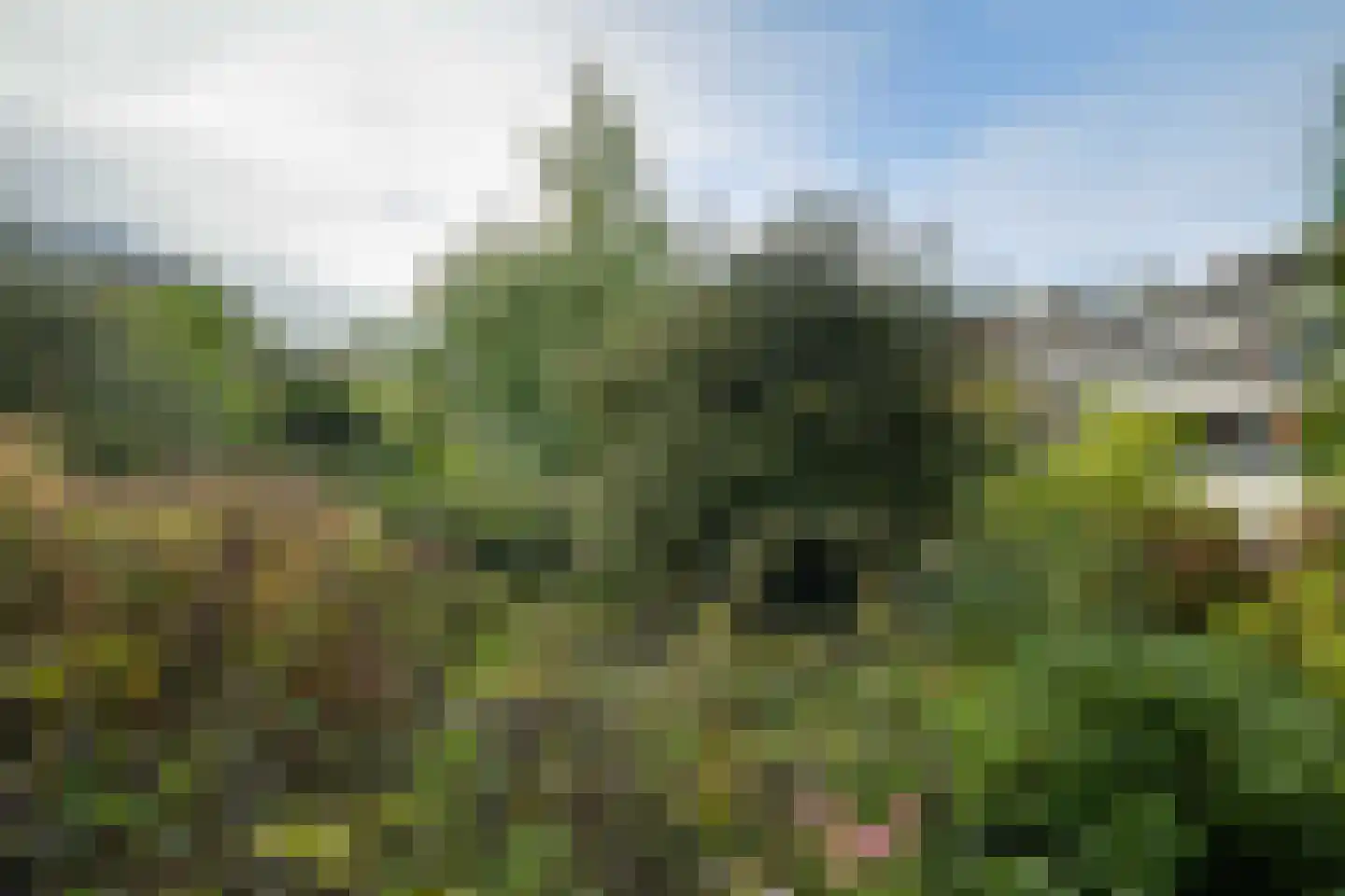 Loseweg 331 Apeldoorn thumbnail 20
