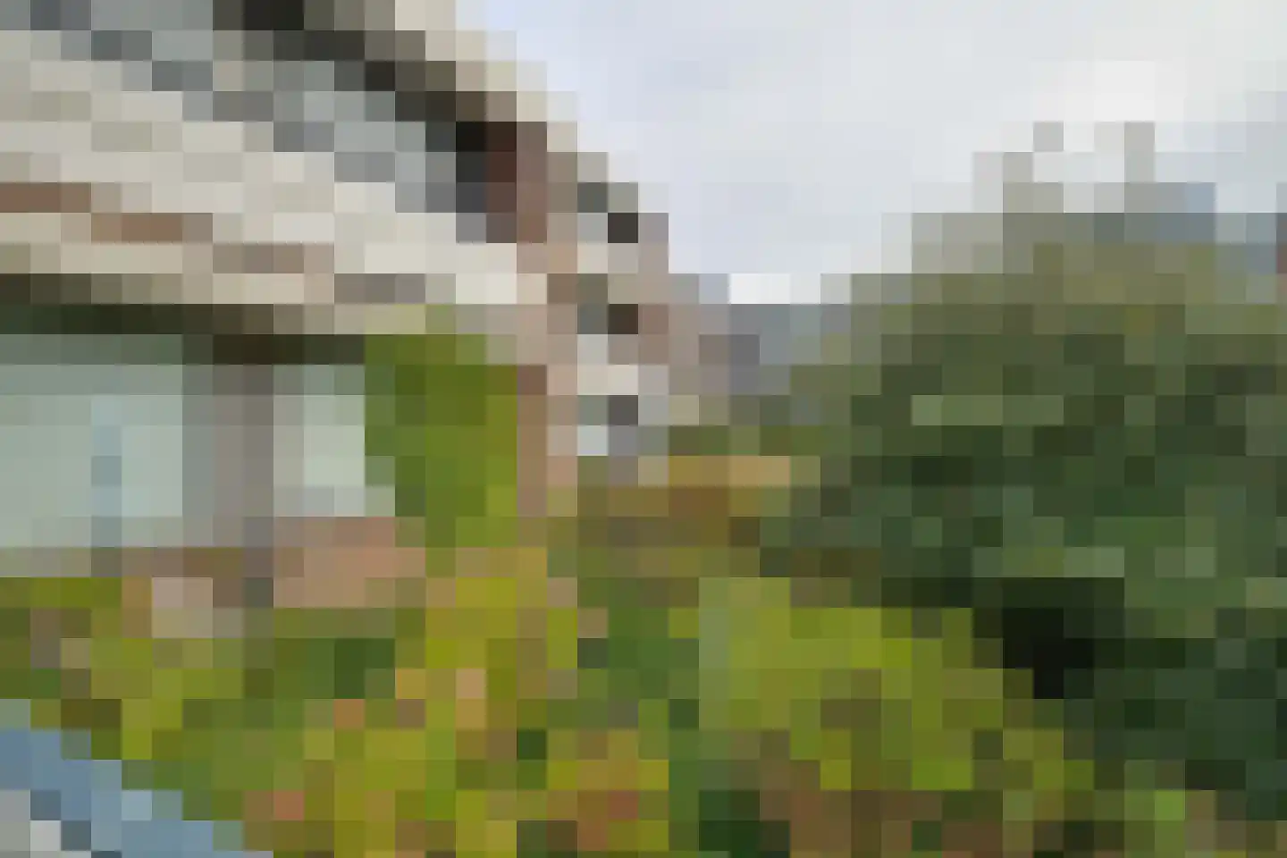 Loseweg 331 Apeldoorn thumbnail 21