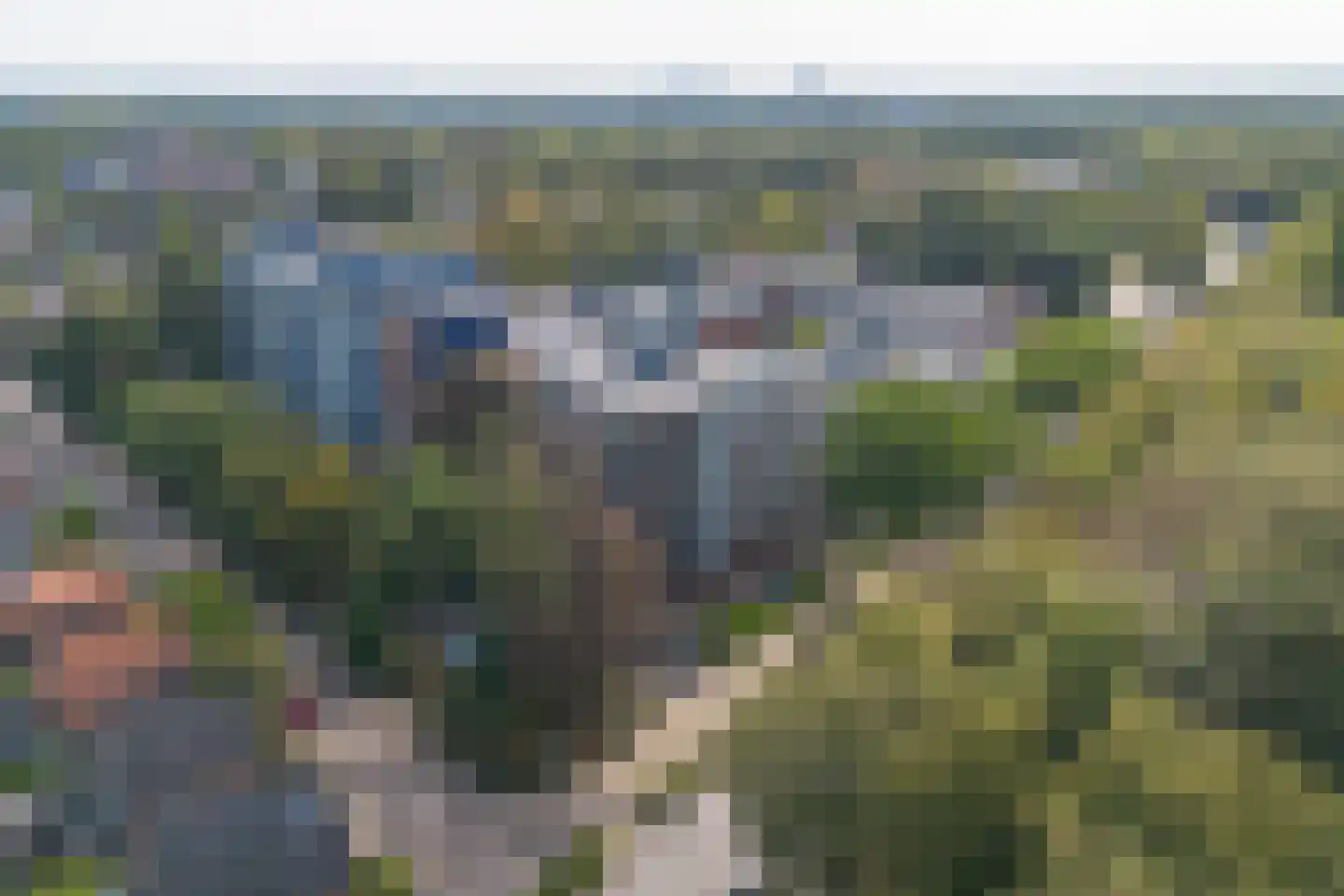 Loseweg 331 Apeldoorn thumbnail 33