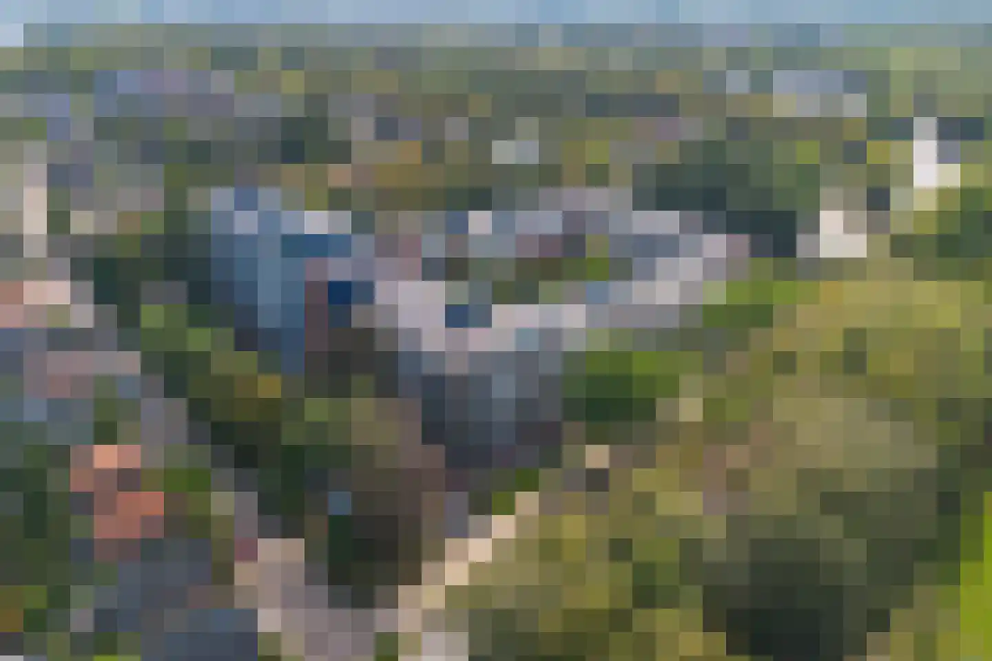 Loseweg 331 Apeldoorn thumbnail 34