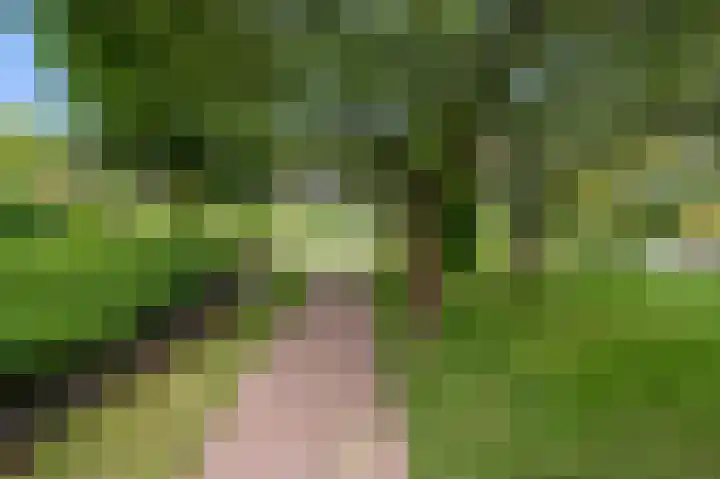 Loseweg 353 Apeldoorn thumbnail 33