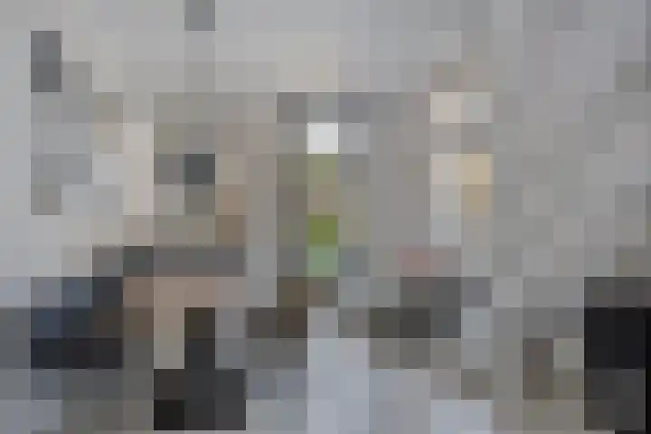 Loseweg 7 Apeldoorn thumbnail 12