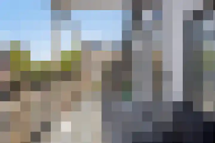 Loseweg 7 Apeldoorn thumbnail 45