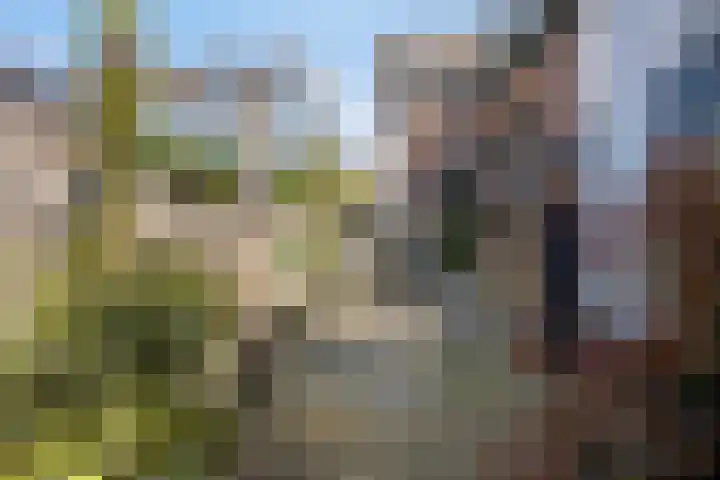 Loseweg 7 Apeldoorn thumbnail 48