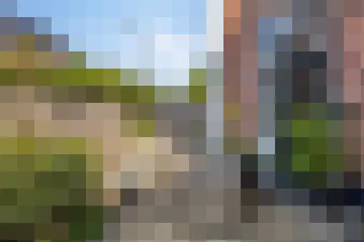 Loseweg 7 Apeldoorn thumbnail 50