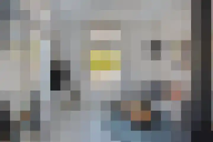 Loseweg 7 Apeldoorn thumbnail 8