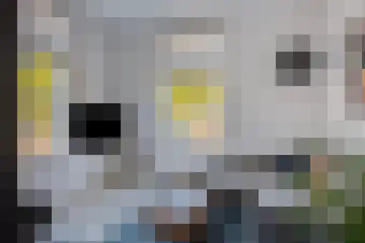 Loseweg 7 Apeldoorn thumbnail 9