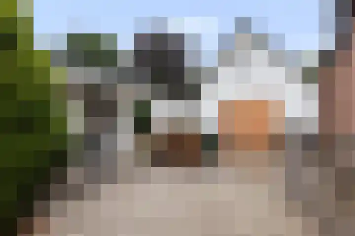 Loseweg 8 Apeldoorn thumbnail 19