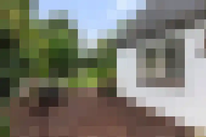 Loseweg 8 Apeldoorn thumbnail 24