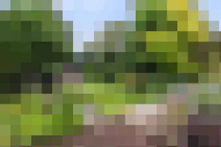 Loseweg 8 Apeldoorn thumbnail 25