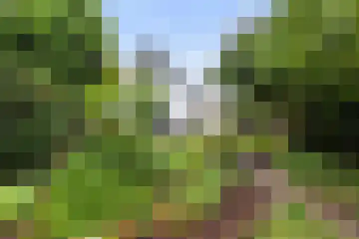 Loseweg 8 Apeldoorn thumbnail 27