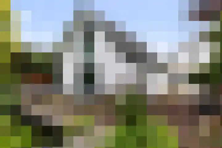 Loseweg 8 Apeldoorn thumbnail 28