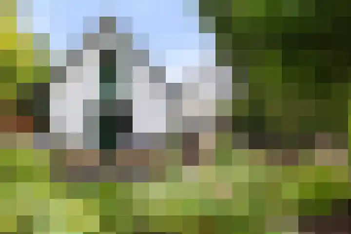 Loseweg 8 Apeldoorn thumbnail 29